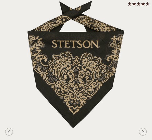 STETSON - Bandana Paisley