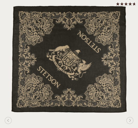 STETSON - Bandana Paisley
